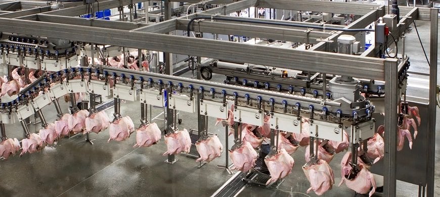 Six reasons to automate turkey processing